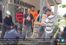 Warga Nyaris Diserang King Kobra 2,5 Meter saat Kerja Bakti - JPNN.com