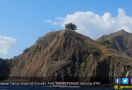 Tiket Wisata Pulau Komodo Bakal Dipatok Rp 3,75 Juta Per Orang, Ini Alasannya - JPNN.com
