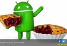 Sony Umumkan 6 Ponselnya Pakai Android 9 Pie - JPNN.com