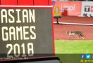 Begini Rekayasa Lalu Lintas saat Penutupan Asian Games 2018 - JPNN.com