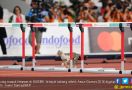 Kucing Siapa tuh Bikin Heboh Asian Games 2018 - JPNN.com