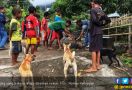 Kementan Upayakan Kejar Target Indonesia Bebas Rabies 2030 - JPNN.com
