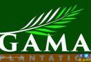 Gama Plantation: Kebakaran Lahan Bukan di Area Perusahaan - JPNN.com