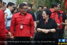 Respons Megawati Setelah Putusan MK Menangkan Jokowi - Ma'ruf - JPNN.com