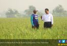 Demi Pembangunan Merata, Kementan Majukan Pertanian di Papua - JPNN.com