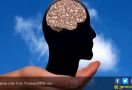Vitamin Penyetop Kematian Sel Otak pada Penyakit Parkinson - JPNN.com