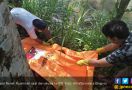 Pemancing Ikan Temukan Jasad Perempuan di Sungai Selangis - JPNN.com