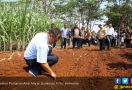 Mentan Ingin Jadikan Kepri Sebagai Provinsi Mandiri - JPNN.com