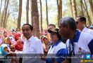 Koreksi Hutan Era Jokowi Berhasil Buka Ribuan Lapangan Kerja - JPNN.com