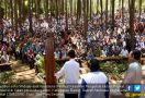 Jokowi: Hutan Harus Berperan sebagai Sumber Kehidupan Rakyat - JPNN.com