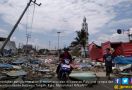 TKN Jokowi Galang Dana untuk Korban Gempa Sulteng - JPNN.com