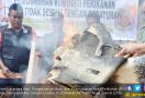 BKIPM Musnahkan Ratusan Lembar Kulit Biawak Ilegal di Jambi - JPNN.com