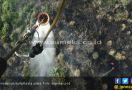 Lahan Terbakar di Jambi, BPBD Lakukan Pemadaman Via Udara - JPNN.com