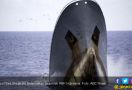Kapal Sea Shepherd Selamatkan Sejumlah ABK Indonesia - JPNN.com