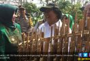 Menteri Siti Terpikat Budi Daya Bambu Warga Banjar - JPNN.com