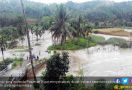 Banjir Rusak Ribuan Hektare Tanaman Padi di Pasaman Barat - JPNN.com