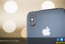 Diprediksi Apple Siapkan iPhone 11 Tahun Depan - JPNN.com