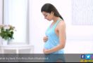 4 Khasiat Rutin Minum Susu Kambing untuk Ibu Hamil yang Bikin Kaget - JPNN.com