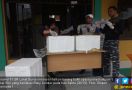 TNI AL Menggagalkan Penyelundupan Baby Lobster ke Singapura - JPNN.com