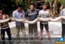 Warga Tangkap Ular Sepanjang 7 Meter di Sei Kepayang Asahan - JPNN.com