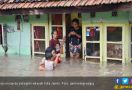 Banjir Kepung Kota Jambi, Rumah Terendam Sedada Orang Dewasa - JPNN.com