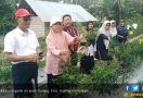 Kementan Dukung Budidaya Organik di Ranah Minang - JPNN.com