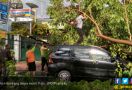 Waspada Pohon Tumbang dan Longsor! - JPNN.com