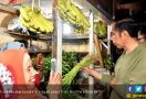 Inilah Bukti Betapa Cintanya Jokowi pada Pasar Tradisional - JPNN.com