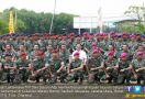 Kasal Beri Penghargaan ke Satgas SAR TNI AL - JPNN.com