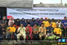 Dorong CSR Kampung Gambut Berdikari Pertamina Dinasionalkan - JPNN.com