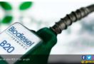 Gaikindo: Di Bidang Biodiesel, Indonesia Terdepan - JPNN.com