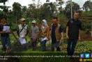 Subsektor Hortikultura Sangat Diminati Kaum Milenial - JPNN.com