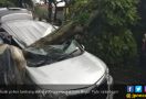 Video Detik - Detik Puting Beliung di Kota Bogor - JPNN.com