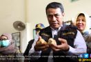 Ekspor Anak Ayam ke Timor Leste Terus Meningkat - JPNN.com