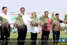 Produk Hortikultura Indonesia Semakin Diminati Dunia   - JPNN.com