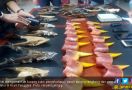 Penyeludup Paruh Burung Rangkong Ditangkap di Aceh Tenggara - JPNN.com