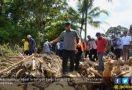 Waktu Pencarian Korban Banjir Bandang Dairi Ditambah 2 Hari - JPNN.com