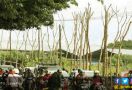 Pemkot Bakal Tanam Lagi 1.000 Pohon Viral - JPNN.com