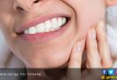 4 Cara Mencegah Sakit Gigi Setelah Makan Daging Kambing - JPNN.com