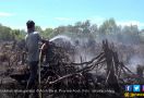 Kebakaran Lahan Gambut di Aceh Barat Makin Meluas - JPNN.com