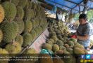 Silakan Nikmati, Percayalah Semua Ini Durian Jatuh, Haahaa.. - JPNN.com