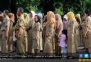Dua Daerah Ini Cuma Dapat Kuota PPPK 209 Orang, Ratusan Honorer Gigit Jari - JPNN.com