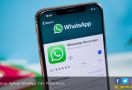 WhatsApp Tambah Fitur Replay Private dan 3D Touch - JPNN.com
