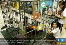 Ilustrasi Penjara Bagi Mereka yang Kecanduan Medsos - JPNN.com