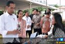 Presiden Joko Widodo Memuji Kerja Keras Bu Yuni - JPNN.com