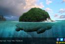 Foto Pulau Kura-Kura Ini Viral di Medsos, Ternyata.. - JPNN.com