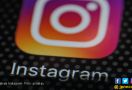 Followers Instagram Milik Ayu Ting Ting dan Raffi Ahmad Juga Berkurang - JPNN.com