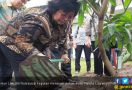 Menteri Siti : Jangan Remehkan Acara Tanam Pohon ! - JPNN.com