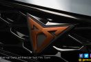 SUV Coupe Terramar Bawa Peran Penting di Cupra - JPNN.com