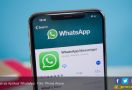WhatsApp Tingkatkan Kemampuan Fitur PiP Versi Android - JPNN.com